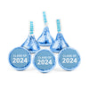 Personalized Light Blue Graduation School Spirit Stripes Deluxe Candy Buffet