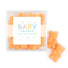 Personalized Baby Shower Sweet Baby Favor Cube with Gummy Bears