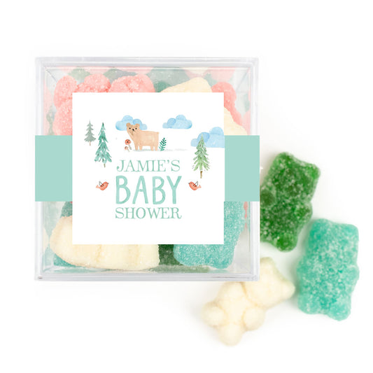 Personalized Baby Shower Baby Bear Favor Cube with Sanded Gummy Bears