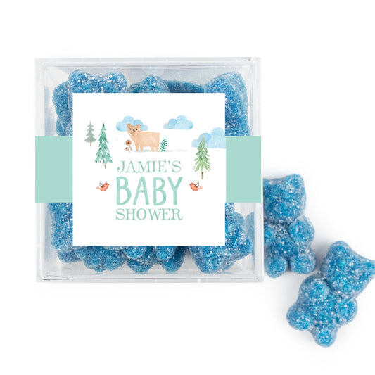 Personalized Baby Shower Baby Bear Favor Cube with Sanded Gummy Bears