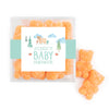 Personalized Baby Shower Baby Bear Favor Cube with Sanded Gummy Bears