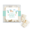 Personalized Baby Shower Baby Bear Favor Cube with Sanded Gummy Bears