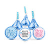 Personalized Gender Reveal Team Boy or Team Girl Deluxe Candy Buffet