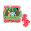 Personalized Baby Shower Jungle Safari Animals Favor Cube with Gummy Bears