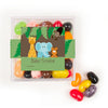 Personalized Baby Shower Jungle Safari Animals Favor Cube with Jelly Belly Jelly Beans