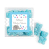 Personalized Baby Shower Chevron Dots Elephant Favor Cube with Sanded Gummy Bears