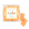 Personalized Baby Shower Safari Snuggles Favor Cube with Sanded Gummy Bears