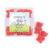 Personalized Baby Shower Baby Animals Favor Cube with Gummy Bears