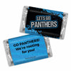 Lets Go Panthers Deluxe Candy Buffet